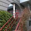 DSCN0351_2